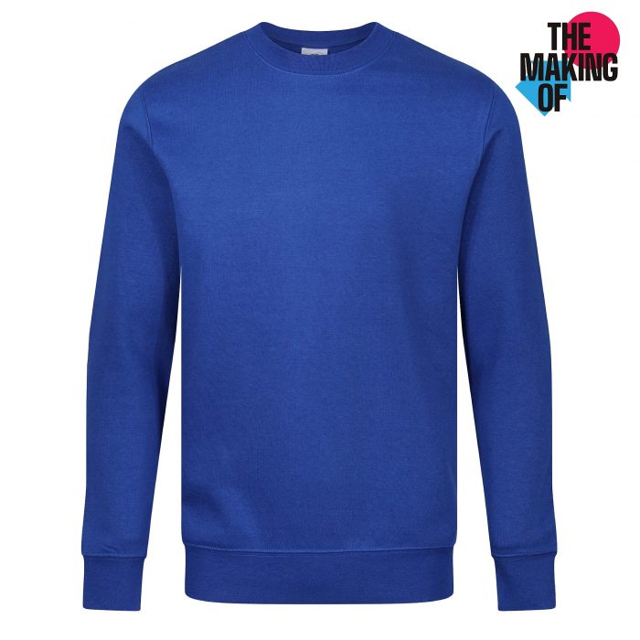 Blue Sweatshirt – Richmond Hill Primary Academy - Adult XXL